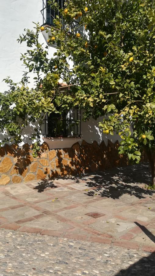El Penon Villa Zahara De La Sierra Exterior photo